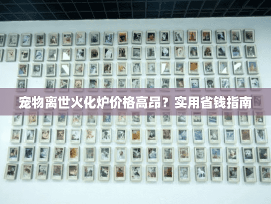 宠物离世火化炉价格高昂？实用省钱指南