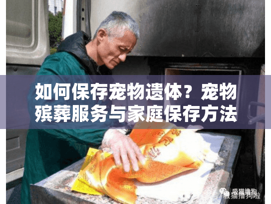 如何保存宠物遗体？宠物殡葬服务与家庭保存方法全解析