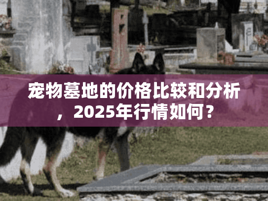 宠物墓地的价格比较和分析，2025年行情如何？