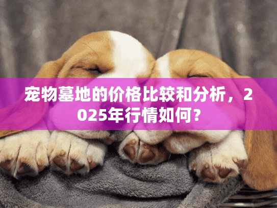 宠物墓地的价格比较和分析，2025年行情如何？