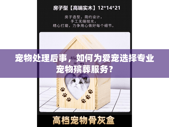 宠物处理后事，如何为爱宠选择专业宠物殡葬服务？