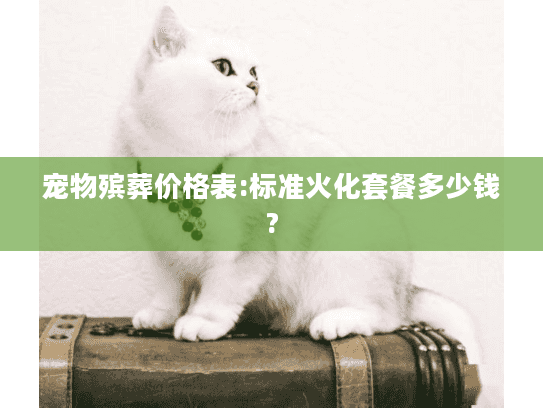 宠物殡葬价格表:标准火化套餐多少钱?