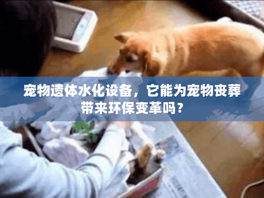 宠物遗体水化设备，它能为宠物丧葬带来环保变革吗？