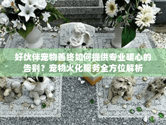 好伙伴宠物善终如何提供专业暖心的告别？宠物火化服务全方位解析