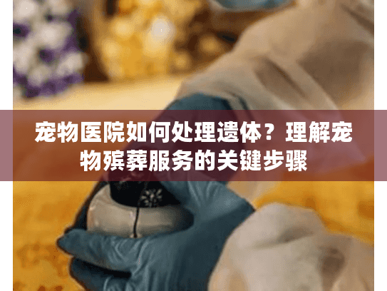 宠物医院如何处理遗体？理解宠物殡葬服务的关键步骤