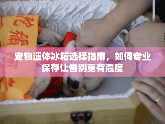 宠物遗体冰箱选择指南,如何专业保存让告别更有温度 宠物遗体冰箱选择指南,如何专业保存让告别更有温度