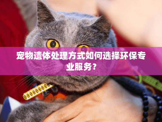 宠物遗体处理方式如何选择环保专业服务？