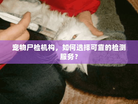 宠物尸检机构，如何选择可靠的检测服务？