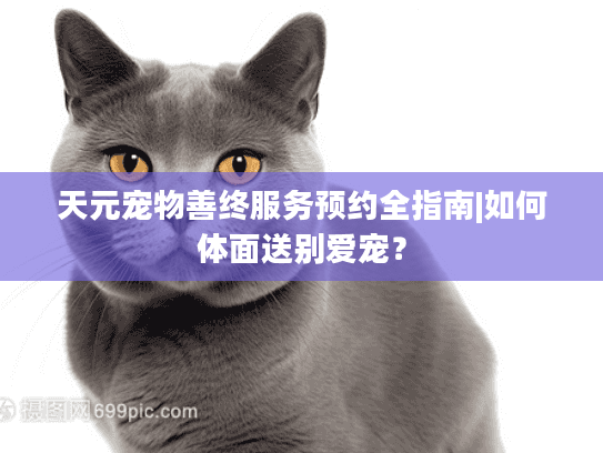 天元宠物善终服务预约全指南|如何体面送别爱宠？