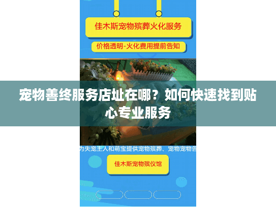 宠物善终服务店址在哪？如何快速找到贴心专业服务