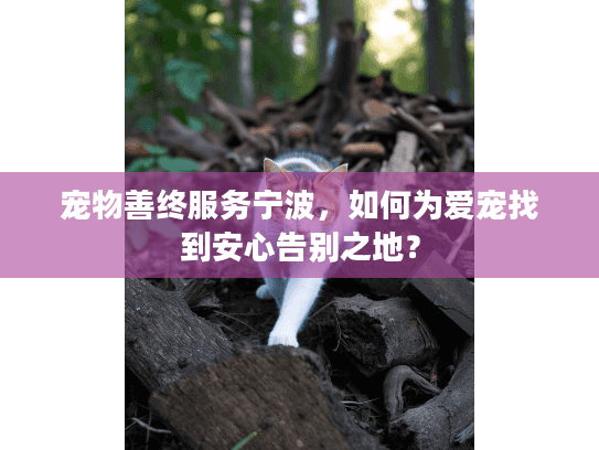 宠物善终服务宁波，如何为爱宠找到安心告别之地？