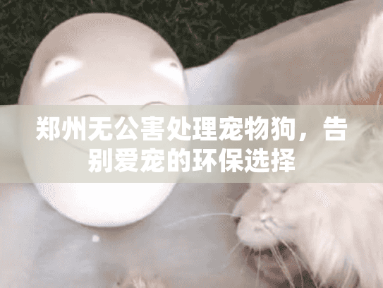 郑州无公害处理宠物狗，告别爱宠的环保选择