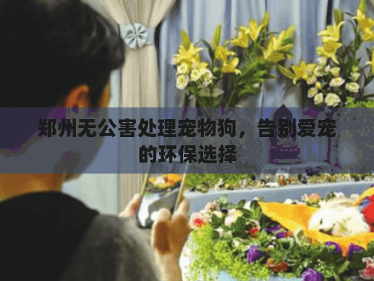 郑州无公害处理宠物狗，告别爱宠的环保选择