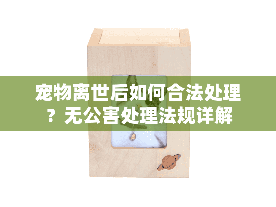 宠物离世后如何合法处理?无公害处理法规详解 宠物离世后如何合法处理?无公害处理法规详解