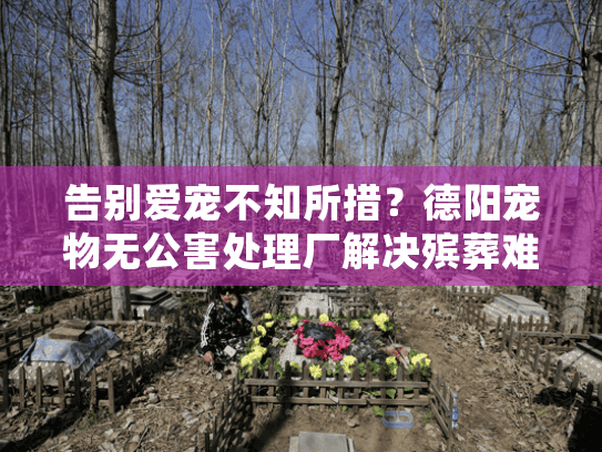告别爱宠不知所措？德阳宠物无公害处理厂解决殡葬难题
