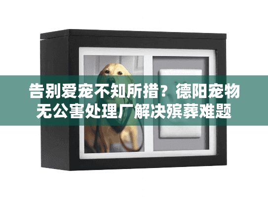 告别爱宠不知所措？德阳宠物无公害处理厂解决殡葬难题