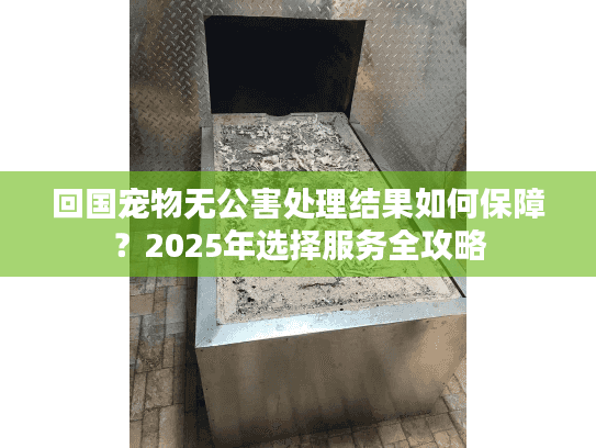 回国宠物无公害处理结果如何保障？2025年选择服务全攻略