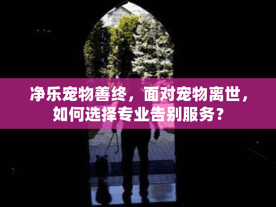 净乐宠物善终，面对宠物离世，如何选择专业告别服务？