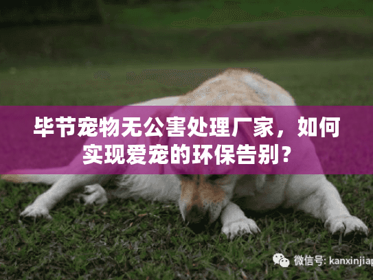毕节宠物无公害处理厂家，如何实现爱宠的环保告别？