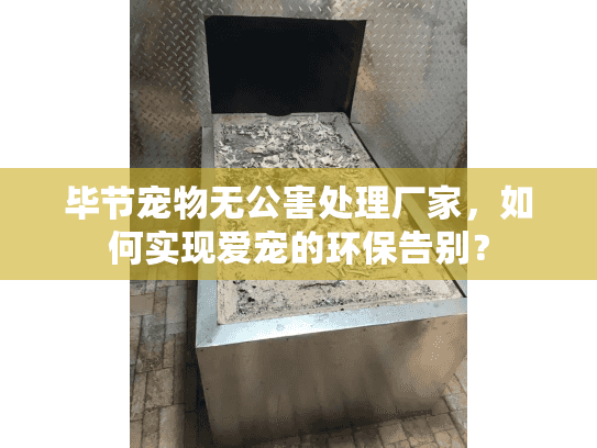 毕节宠物无公害处理厂家，如何实现爱宠的环保告别？