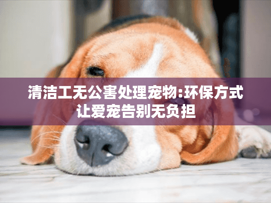 清洁工无公害处理宠物:环保方式让爱宠告别无负担