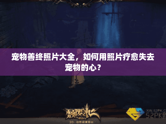 宠物善终照片大全，如何用照片疗愈失去宠物的心？