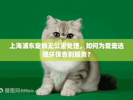 上海浦东宠物无公害处理，如何为爱宠选择环保告别服务？