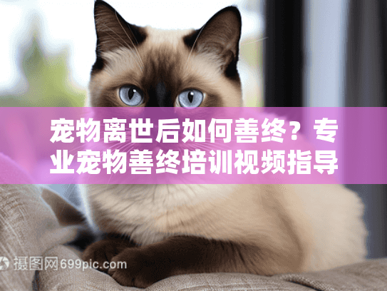 宠物离世后如何善终？专业宠物善终培训视频指导你