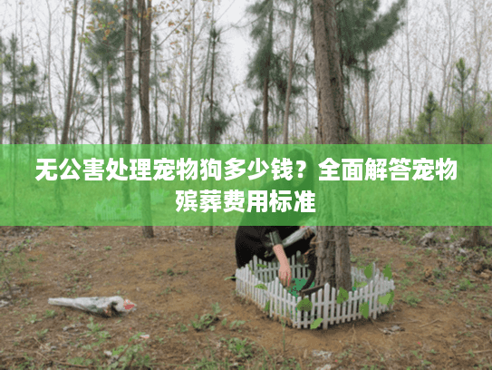 无公害处理宠物狗多少钱？全面解答宠物殡葬费用标准