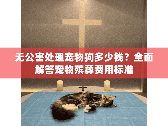 无公害处理宠物狗多少钱？全面解答宠物殡葬费用标准