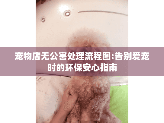 宠物店无公害处理流程图:告别爱宠时的环保安心指南