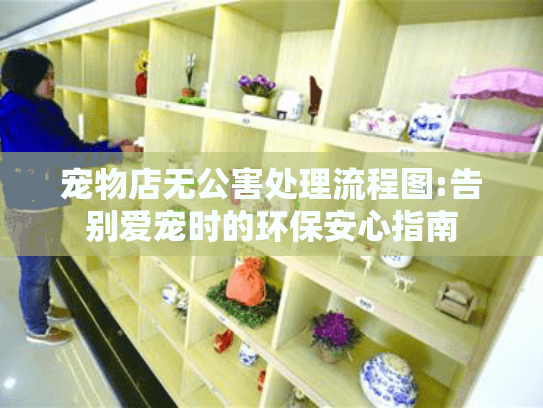 宠物店无公害处理流程图:告别爱宠时的环保安心指南