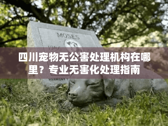 四川宠物无公害处理机构在哪里？专业无害化处理指南