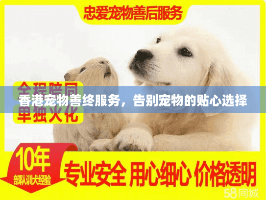 香港宠物善终服务，告别宠物的贴心选择