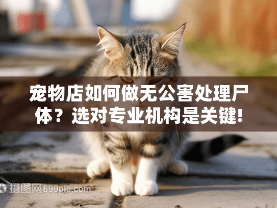 宠物店如何做无公害处理尸体？选对专业机构是关键!