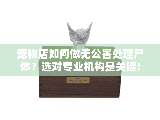 宠物店如何做无公害处理尸体？选对专业机构是关键!