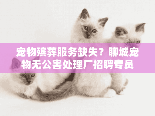 宠物殡葬服务缺失？聊城宠物无公害处理厂招聘专员
