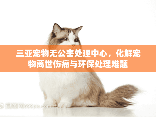 三亚宠物无公害处理中心，化解宠物离世伤痛与环保处理难题