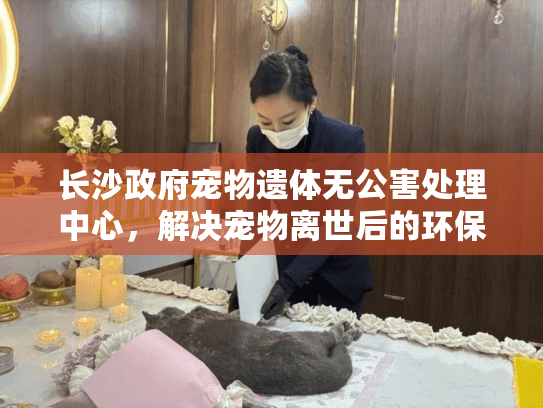 长沙政府宠物遗体无公害处理中心，解决宠物离世后的环保处理难题