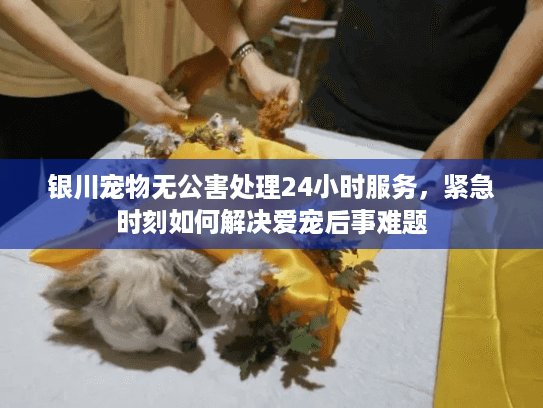 银川宠物无公害处理24小时服务，紧急时刻如何解决爱宠后事难题