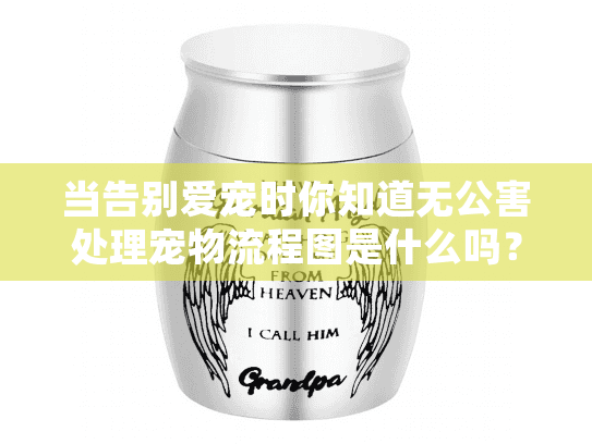 当告别爱宠时你知道无公害处理宠物流程图是什么吗？告别也能如此环保