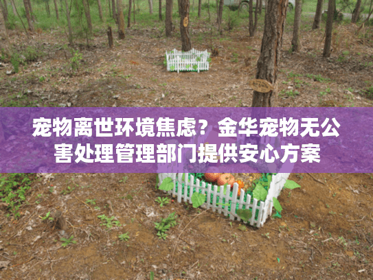 宠物离世环境焦虑？金华宠物无公害处理管理部门提供安心方案