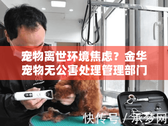 宠物离世环境焦虑？金华宠物无公害处理管理部门提供安心方案