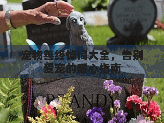 宠物善终悼词大全，告别爱宠的暖心指南