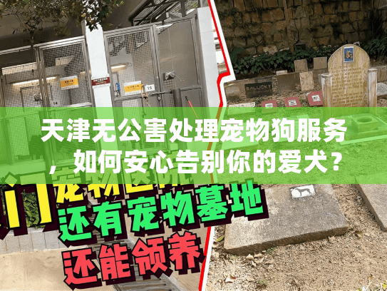 天津无公害处理宠物狗服务，如何安心告别你的爱犬？