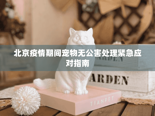 北京疫情期间宠物无公害处理紧急应对指南