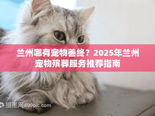 兰州哪有宠物善终？2025年兰州宠物殡葬服务推荐指南