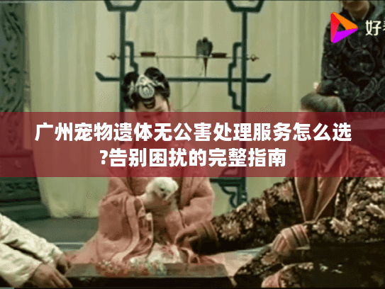 广州宠物遗体无公害处理服务怎么选?告别困扰的完整指南