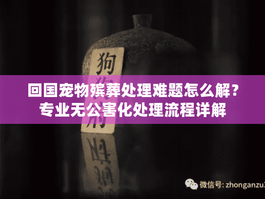 回国宠物殡葬处理难题怎么解？专业无公害化处理流程详解