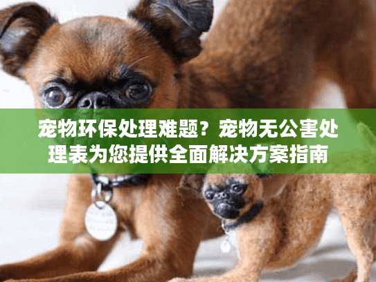宠物环保处理难题？宠物无公害处理表为您提供全面解决方案指南